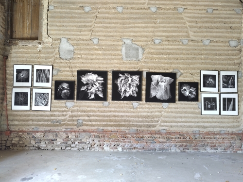 Les Artistes au Jardin
