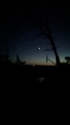 Observation de l'éclipse en musique