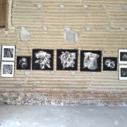 Les Artistes au Jardin