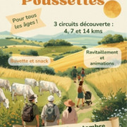 Marche des poussettes